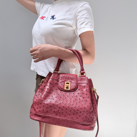 Ostrich Leather Top Handle Bag