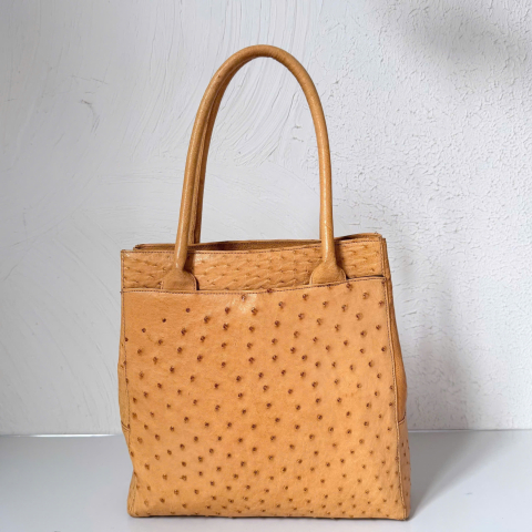 Vintage Ostrich Leather Square Tote Bag