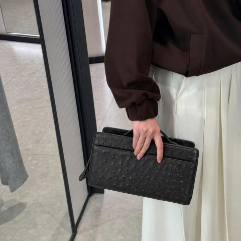  Extra Pocket L19 Ostrich Leather Handbag