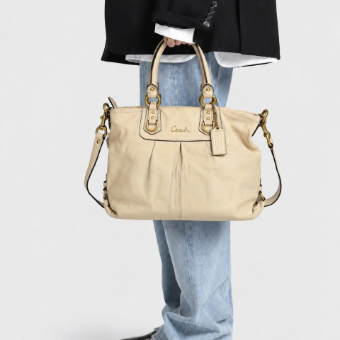Coach Ashley Leather Carryall