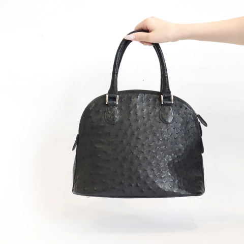 Đà điểu Hand Bag 